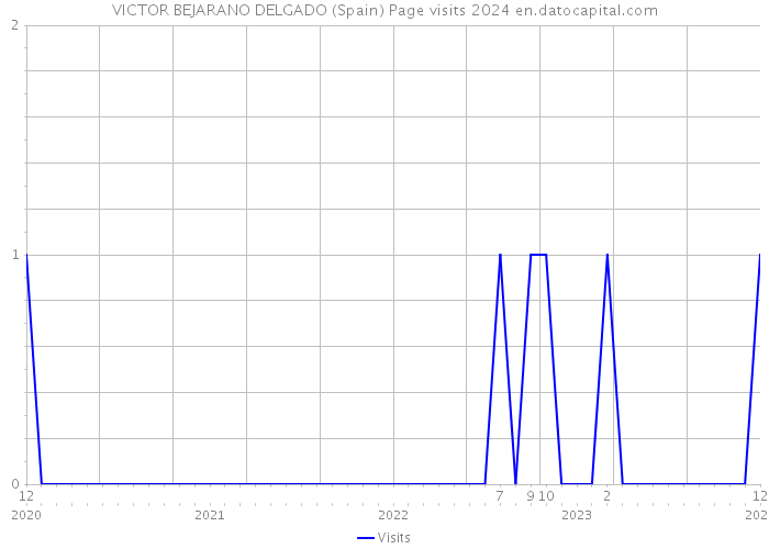 VICTOR BEJARANO DELGADO (Spain) Page visits 2024 