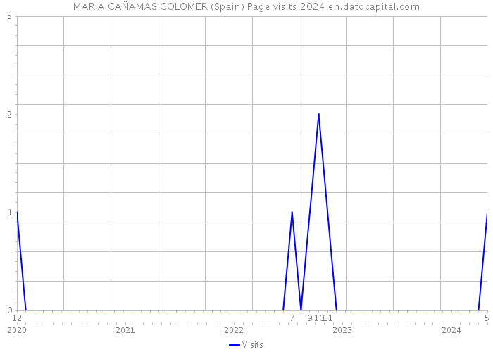 MARIA CAÑAMAS COLOMER (Spain) Page visits 2024 