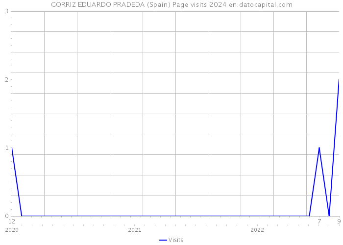 GORRIZ EDUARDO PRADEDA (Spain) Page visits 2024 