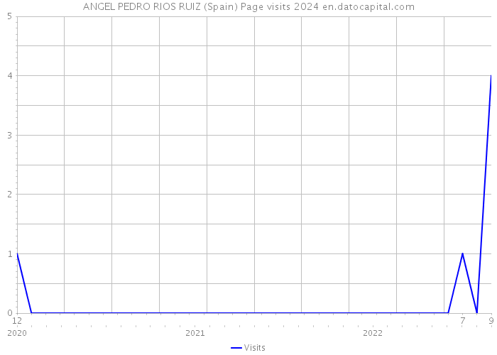 ANGEL PEDRO RIOS RUIZ (Spain) Page visits 2024 