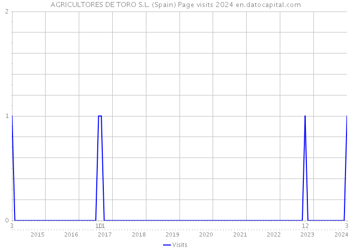 AGRICULTORES DE TORO S.L. (Spain) Page visits 2024 