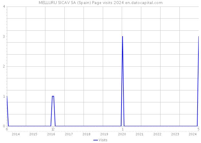MELLURU SICAV SA (Spain) Page visits 2024 