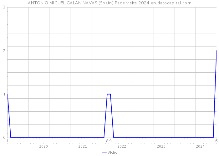 ANTONIO MIGUEL GALAN NAVAS (Spain) Page visits 2024 