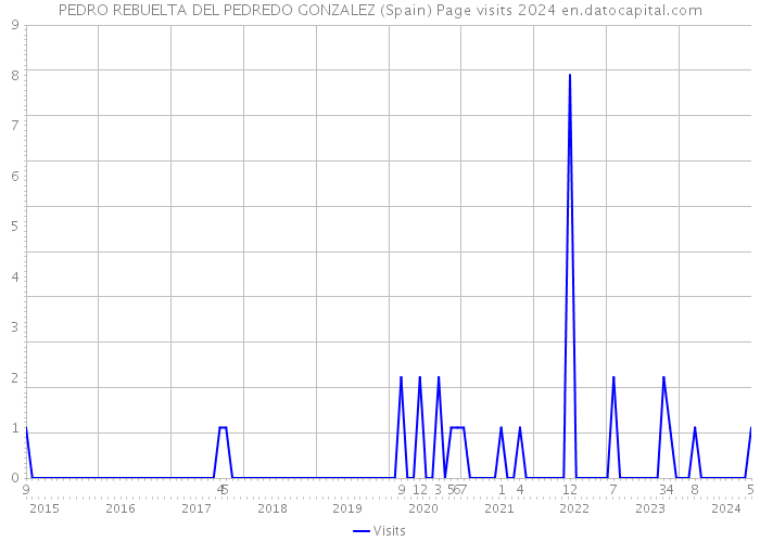 PEDRO REBUELTA DEL PEDREDO GONZALEZ (Spain) Page visits 2024 