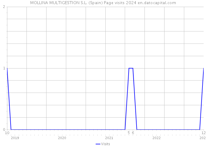 MOLLINA MULTIGESTION S.L. (Spain) Page visits 2024 