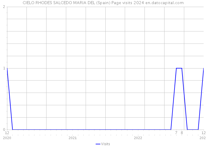 CIELO RHODES SALCEDO MARIA DEL (Spain) Page visits 2024 