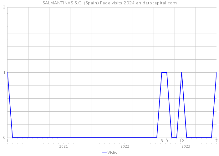 SALMANTINAS S.C. (Spain) Page visits 2024 