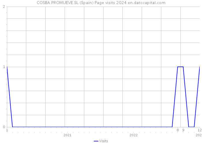COSBA PROMUEVE SL (Spain) Page visits 2024 