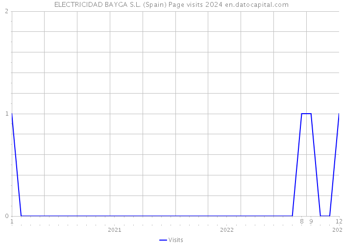 ELECTRICIDAD BAYGA S.L. (Spain) Page visits 2024 