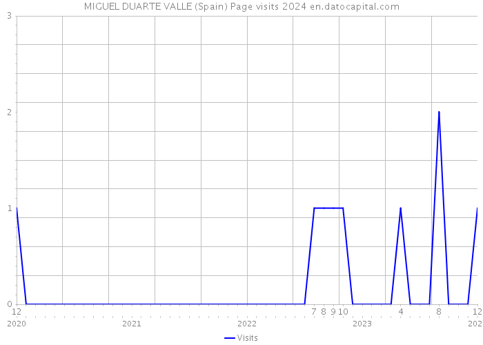 MIGUEL DUARTE VALLE (Spain) Page visits 2024 