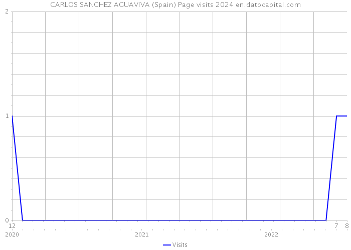 CARLOS SANCHEZ AGUAVIVA (Spain) Page visits 2024 