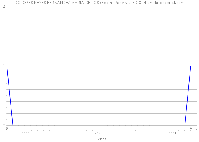DOLORES REYES FERNANDEZ MARIA DE LOS (Spain) Page visits 2024 