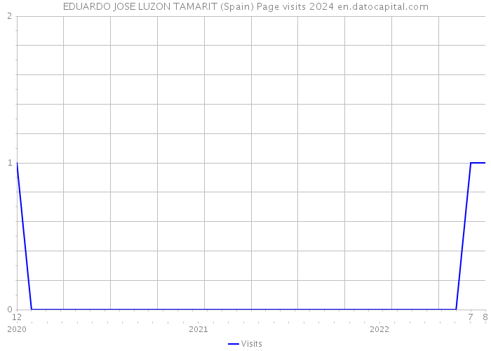 EDUARDO JOSE LUZON TAMARIT (Spain) Page visits 2024 