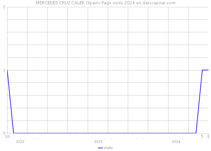 MERCEDES CRUZ CALER (Spain) Page visits 2024 