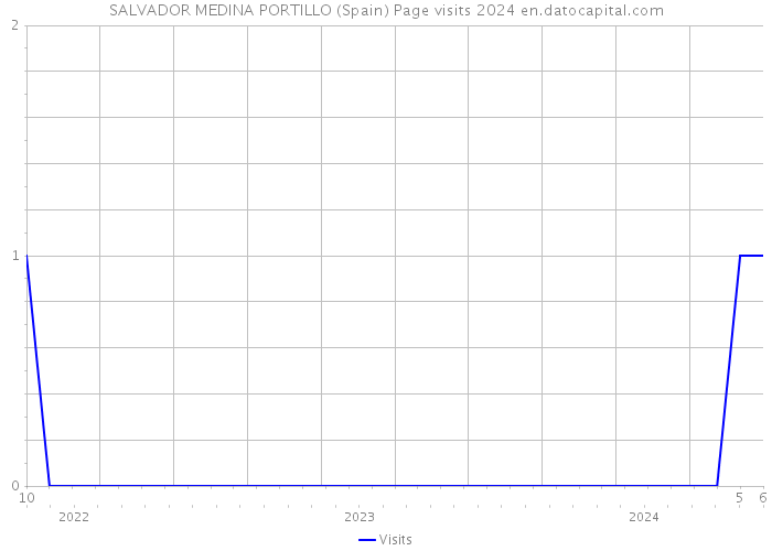 SALVADOR MEDINA PORTILLO (Spain) Page visits 2024 