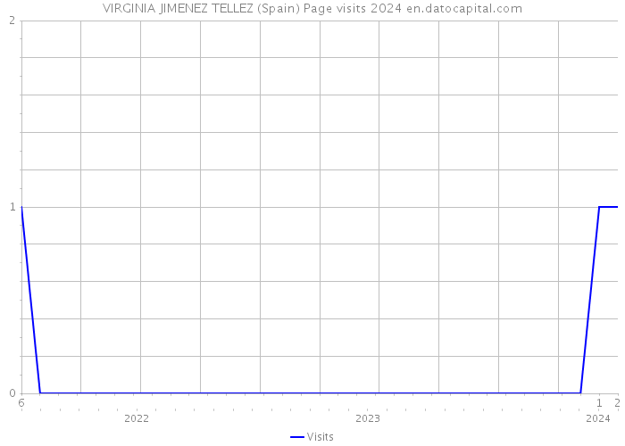 VIRGINIA JIMENEZ TELLEZ (Spain) Page visits 2024 