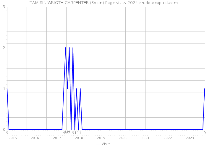 TAMISIN WRIGTH CARPENTER (Spain) Page visits 2024 