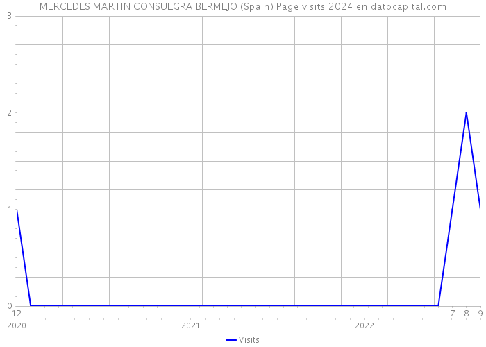 MERCEDES MARTIN CONSUEGRA BERMEJO (Spain) Page visits 2024 