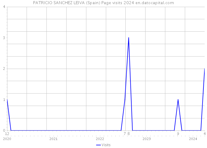 PATRICIO SANCHEZ LEIVA (Spain) Page visits 2024 