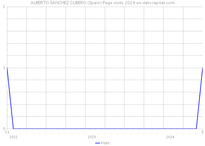 ALBERTO SANCHEZ CUBERO (Spain) Page visits 2024 