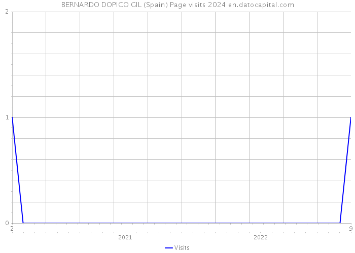 BERNARDO DOPICO GIL (Spain) Page visits 2024 