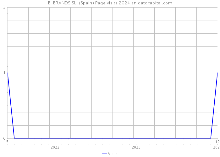 BI BRANDS SL. (Spain) Page visits 2024 
