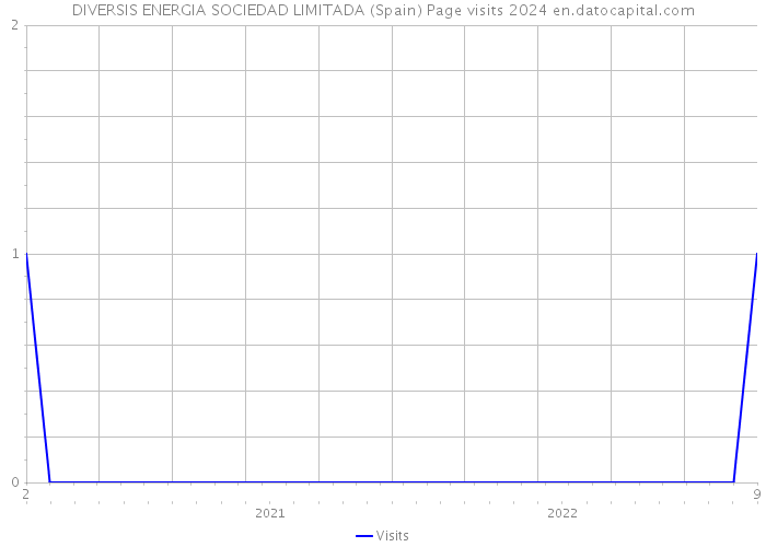 DIVERSIS ENERGIA SOCIEDAD LIMITADA (Spain) Page visits 2024 