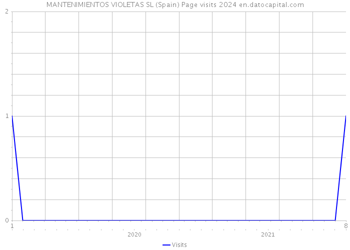MANTENIMIENTOS VIOLETAS SL (Spain) Page visits 2024 