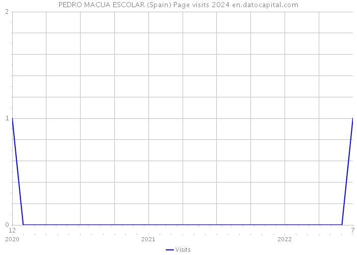 PEDRO MACUA ESCOLAR (Spain) Page visits 2024 