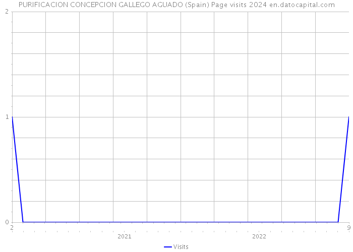 PURIFICACION CONCEPCION GALLEGO AGUADO (Spain) Page visits 2024 