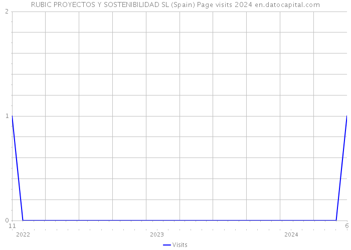 RUBIC PROYECTOS Y SOSTENIBILIDAD SL (Spain) Page visits 2024 