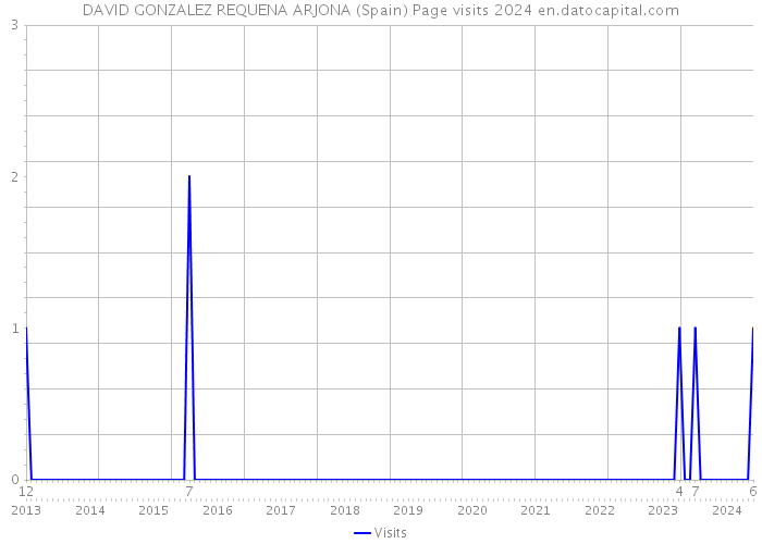 DAVID GONZALEZ REQUENA ARJONA (Spain) Page visits 2024 