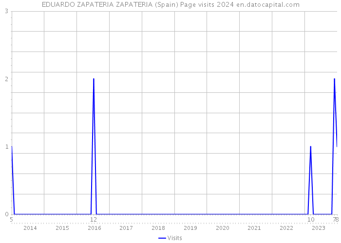 EDUARDO ZAPATERIA ZAPATERIA (Spain) Page visits 2024 
