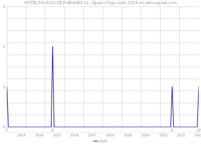 HOTEL PALACIO DE RUBIANES S.L. (Spain) Page visits 2024 