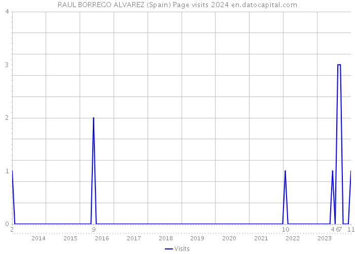RAUL BORREGO ALVAREZ (Spain) Page visits 2024 