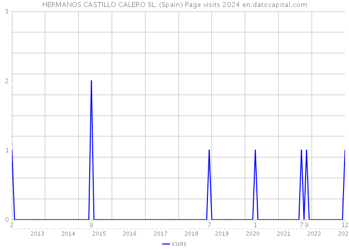 HERMANOS CASTILLO CALERO SL. (Spain) Page visits 2024 