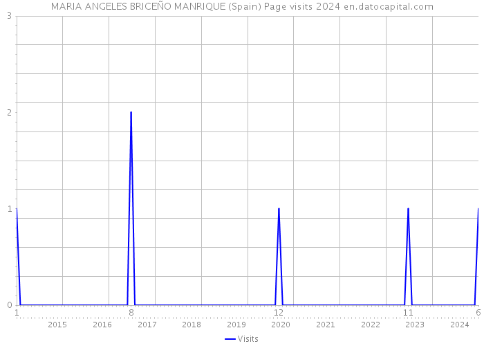 MARIA ANGELES BRICEÑO MANRIQUE (Spain) Page visits 2024 