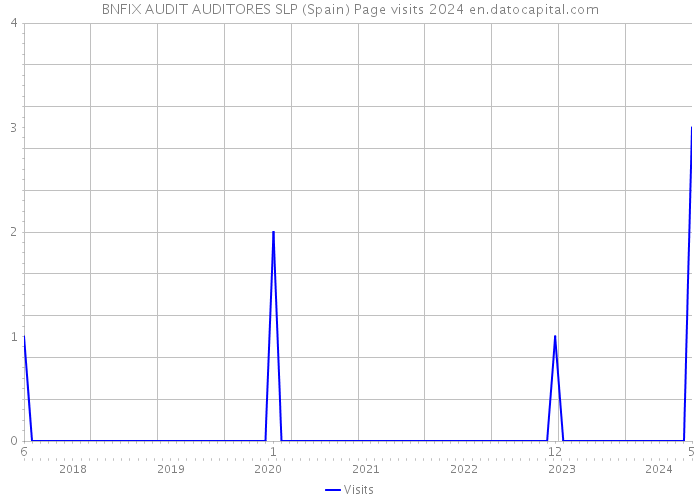 BNFIX AUDIT AUDITORES SLP (Spain) Page visits 2024 