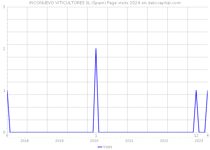 RICONUEVO VITICULTORES SL (Spain) Page visits 2024 