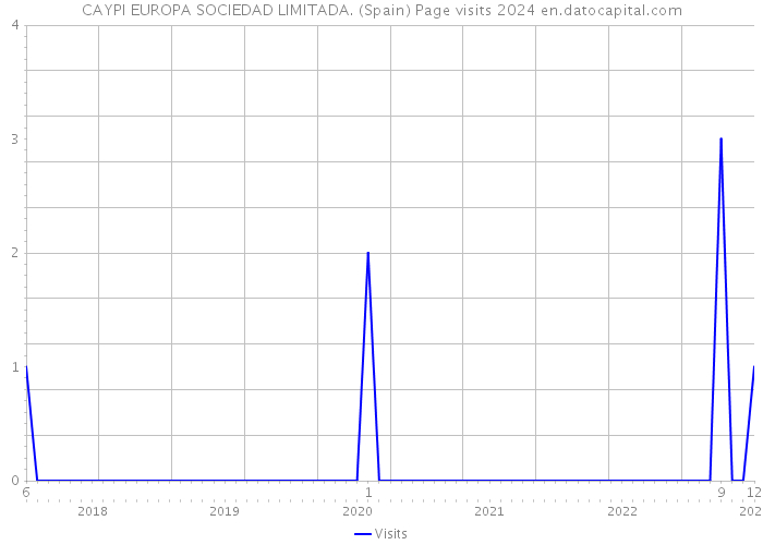 CAYPI EUROPA SOCIEDAD LIMITADA. (Spain) Page visits 2024 