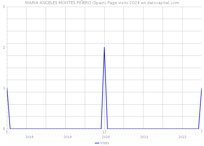 MARIA ANGELES MONTES PIÑERO (Spain) Page visits 2024 