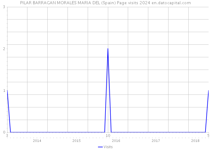 PILAR BARRAGAN MORALES MARIA DEL (Spain) Page visits 2024 