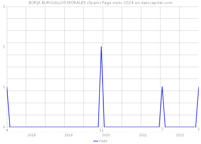 BORJA BURGUILLOS MORALES (Spain) Page visits 2024 