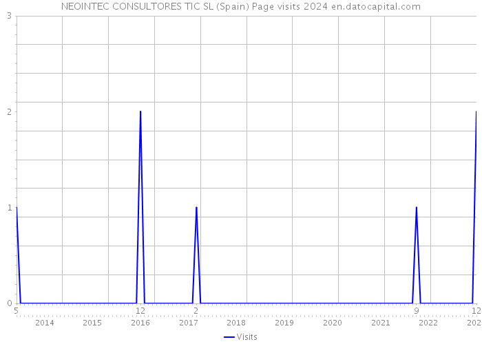 NEOINTEC CONSULTORES TIC SL (Spain) Page visits 2024 