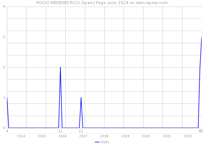 ROCIO MENESES RICO (Spain) Page visits 2024 