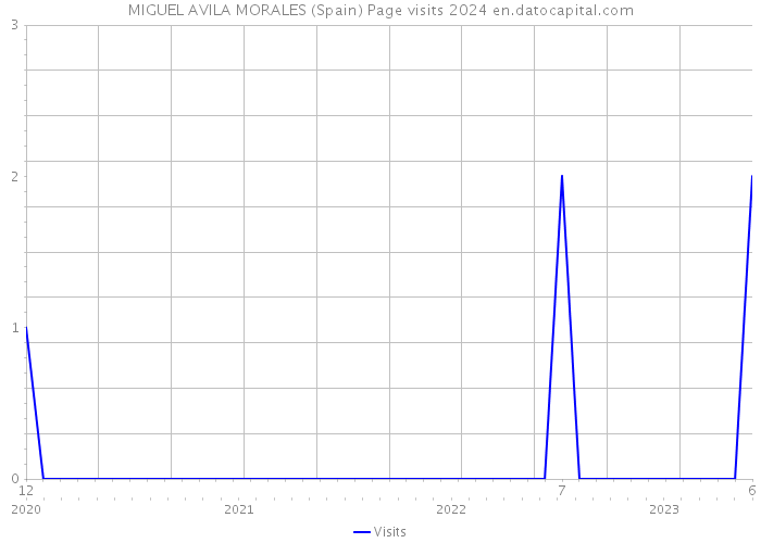 MIGUEL AVILA MORALES (Spain) Page visits 2024 