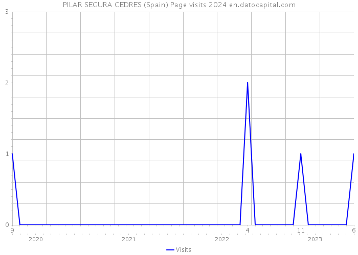 PILAR SEGURA CEDRES (Spain) Page visits 2024 