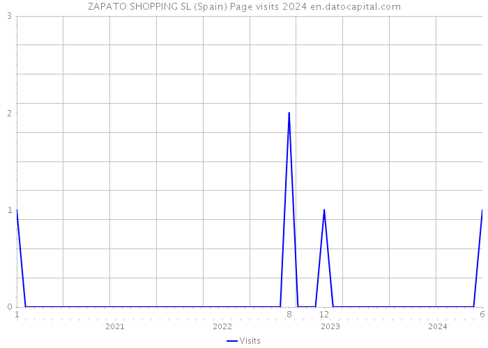 ZAPATO SHOPPING SL (Spain) Page visits 2024 