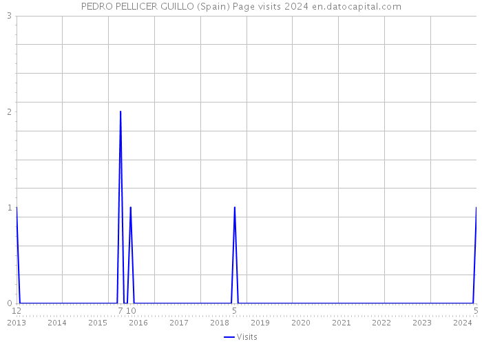 PEDRO PELLICER GUILLO (Spain) Page visits 2024 