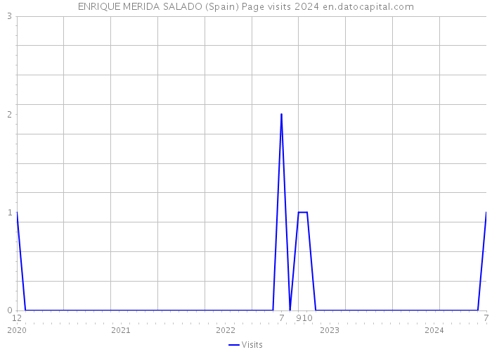 ENRIQUE MERIDA SALADO (Spain) Page visits 2024 
